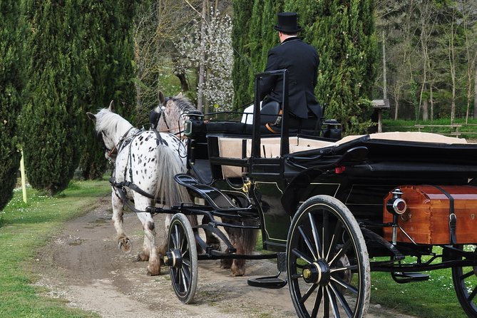 Carriage Ride and Lunch in a Typical Restaurant in the Heart of Chianti - Customer Reviews