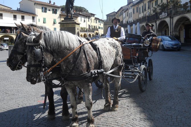 Carriage Ride and Lunch in a Typical Restaurant in the Heart of Chianti - Frequently Asked Questions