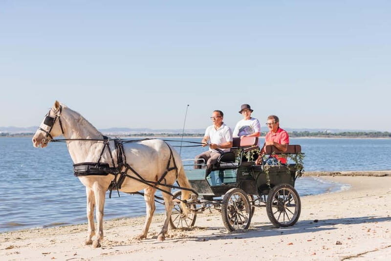 CARRIAGE Ride On The Beach (Rosário Beach) - Good To Know