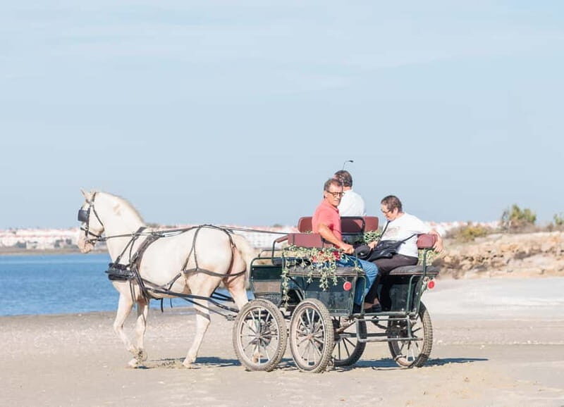 CARRIAGE Ride On The Beach (Rosário Beach) - Practical Tips for Your Ride