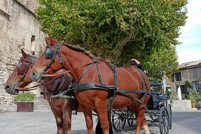 Carriage Rides in the Heart of the Luberon - Overview and Activity Details