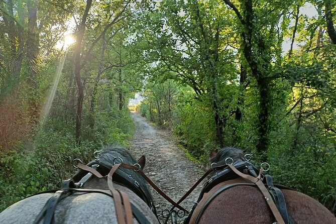 Carriage Rides in the Heart of the Luberon - Meeting and Pickup Details