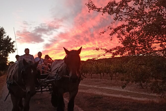 Carriage Rides in the Heart of the Luberon - Additional Information