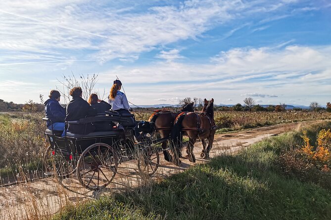 Carriage Rides, Pays De Sommières - Overview of Carriage Rides
