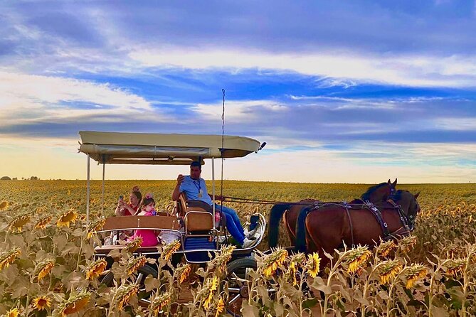 Carriage Routes Through the Most Emblematic Estates of Aljarafe. - Included Snacks and Pricing