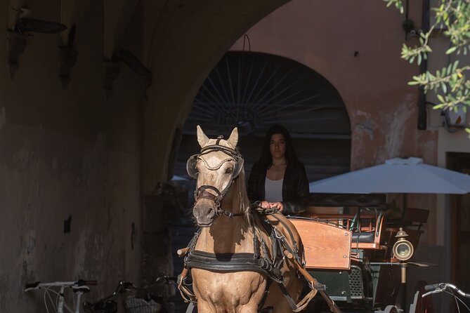 Carriage Tour in the Historic Center of Lucca - Carriage Tour Details