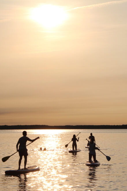 Carry-Le-Rouet: Sunset Tour on Stand up Paddle-Boards - Safety and Equipment