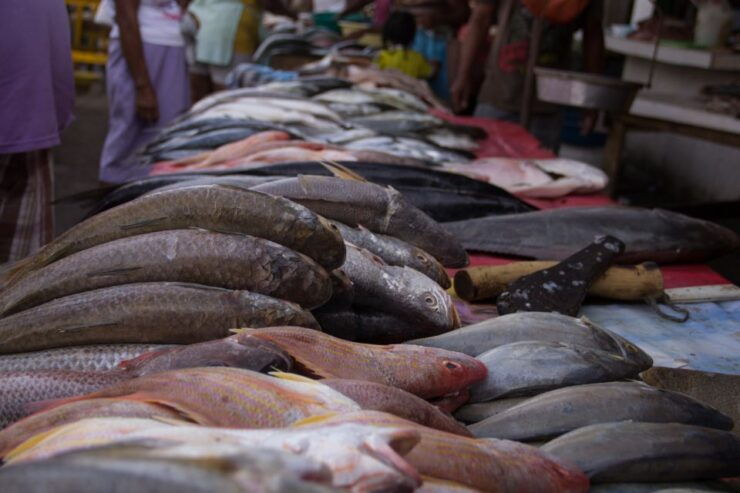 Cartagena: 3-Hour Bazurto Market Tour - Good To Know