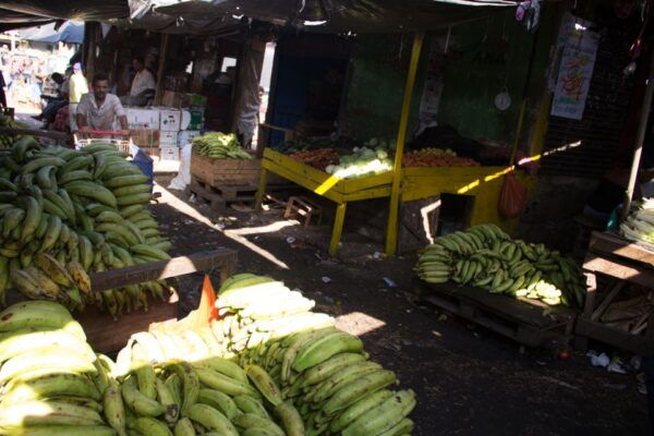 Cartagena: 3-Hour Bazurto Market Tour - Frequently Asked Questions
