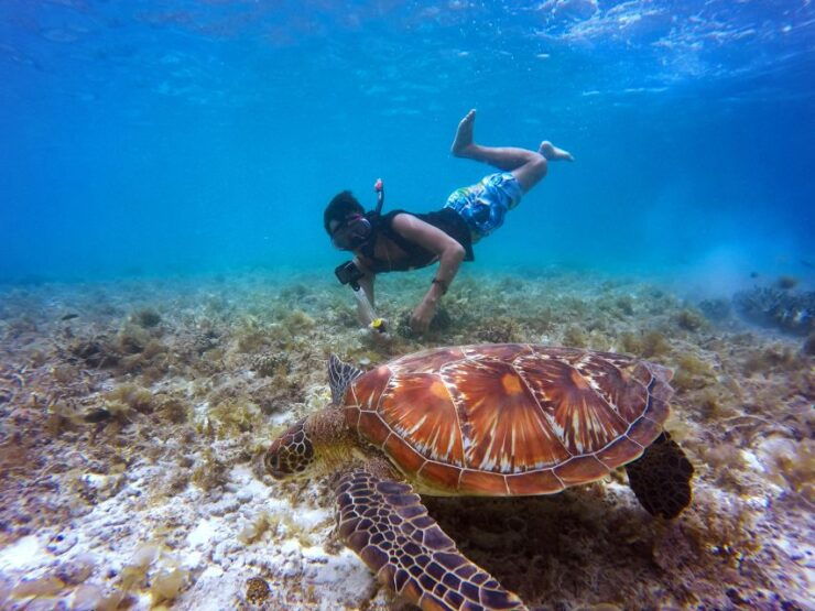 Cartagena: 5 Islands Boat Tour With Lunch, Snorkeling, & Bar - Good To Know