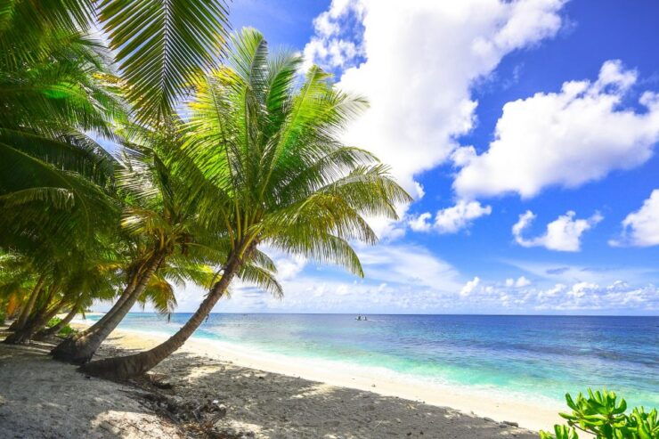 Cartagena: 5 Islands Boat Tour With Lunch, Snorkeling, & Bar - Activity Details