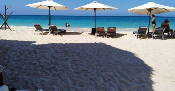 Cartagena: Barù Playa Blanca Lunch, Beach the Lowest Price - The Sum Up