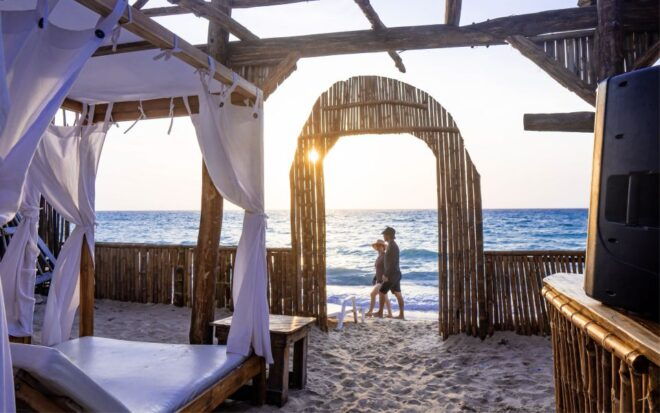 Cartagena: Barú Sunset Beach With Bioluminescent Plankton - Activity Description