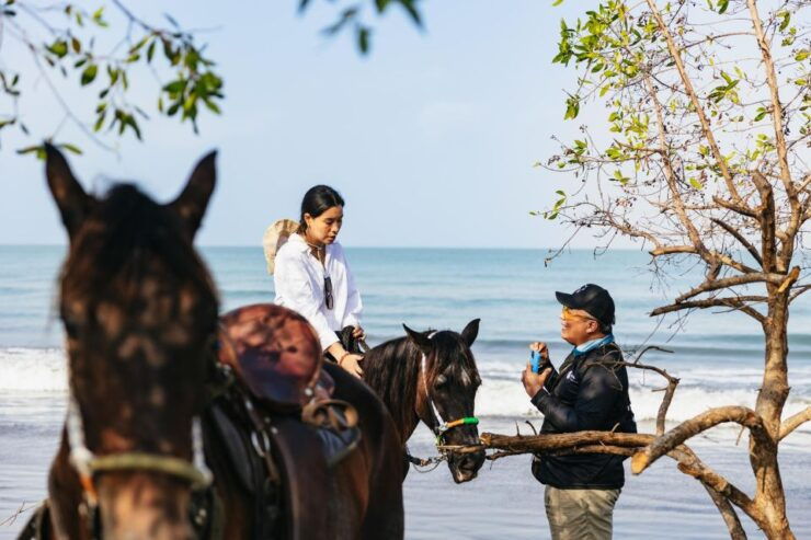 Cartagena: Beach Horse Ride and Colombian Horse Culture - Activity Details
