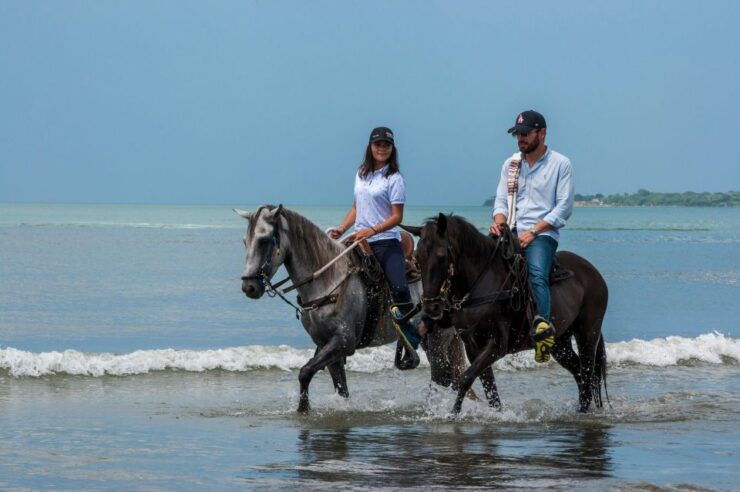 Cartagena: Beach Horse Ride and Colombian Horse Culture - Experience Highlights