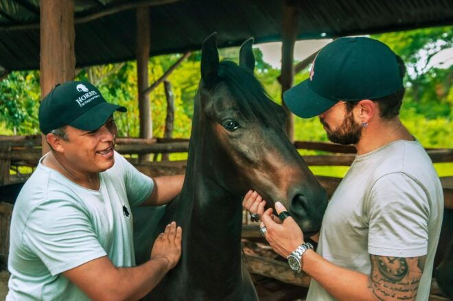 Cartagena: Beach Horse Ride and Colombian Horse Culture - Activity Description