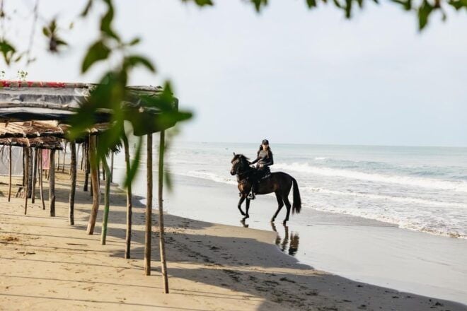 Cartagena: Beach Horse Ride and Colombian Horse Culture - Customer Testimonials