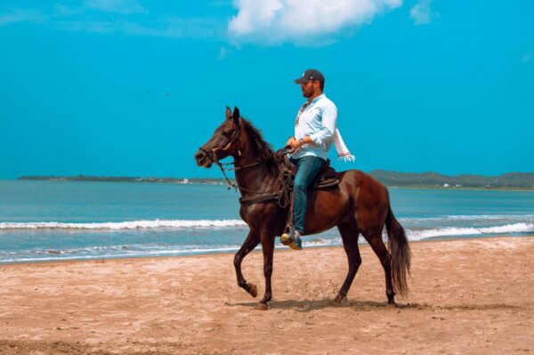 Cartagena: Beach Horse Ride and Colombian Horse Culture - Frequently Asked Questions