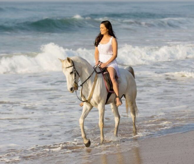 Cartagena: Beach Horseback Riding Tour at Sunset - Customer Reviews and Feedback