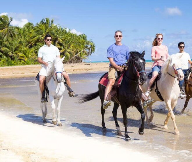 Cartagena: Beach Horseback Riding Tour at Sunset - Activity Inclusions and Guide Information
