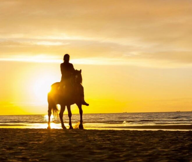 Cartagena: Beach Horseback Riding Tour at Sunset - Meeting Point and Duration Details