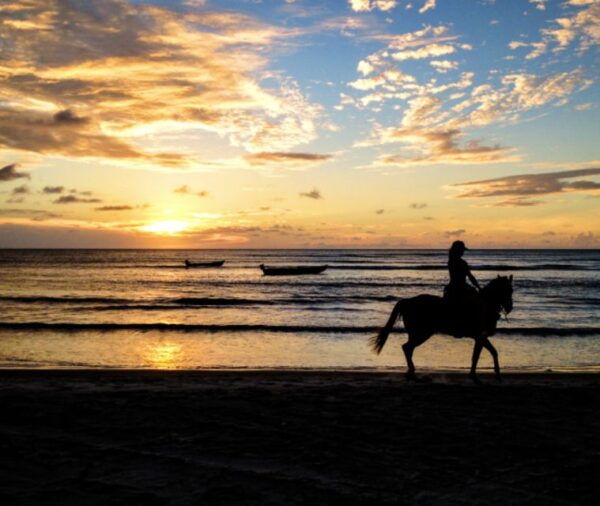 Cartagena: Beach Horseback Riding Tour at Sunset - Additional Information and Highlights