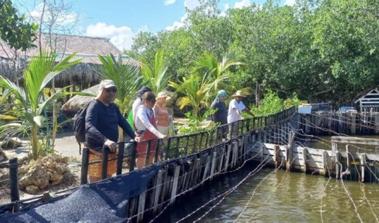 Cartagena: Canoe Tour Through Mangroves - Activity Details