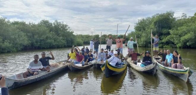 Cartagena: Canoe Tour Through Mangroves - Benefits of Mangroves