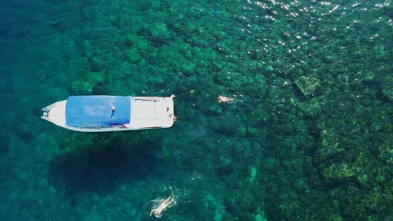 Cartagena: Cartagena Bay Swimming Route - The Experience: What to Expect on the Cartagena Bay Swimming Route