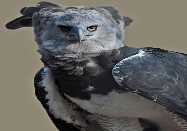 Cartagena: Daytour Aviary and Playa Blanca by Bus! - Activity Details