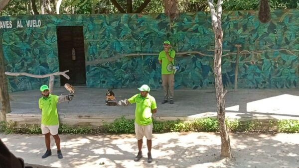 Cartagena: Daytour Aviary and Playa Blanca by Bus! - Frequently Asked Questions