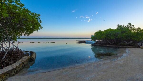 Cartagena: Full Access Day Pass to Aura Barú Beach Hotel - Pricing and Availability