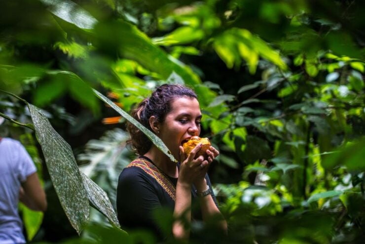 Cartagena: Full-Day Coffee & Cocoa Farm Tour - Immersive Cultural Experience Highlights