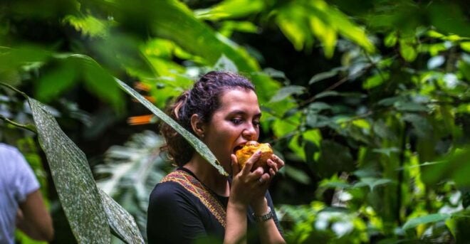Cartagena: Full-Day Coffee & Cocoa Farm Tour - Pricing and Tax Information