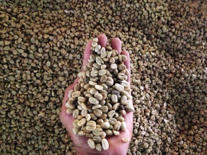Cartagena: Full-Day Coffee & Cocoa Farm Tour - The Sum Up