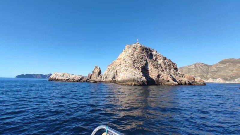 Cartagena: Guided boat tour to Isla de las Palomas - Why This Tour Offers Great Value