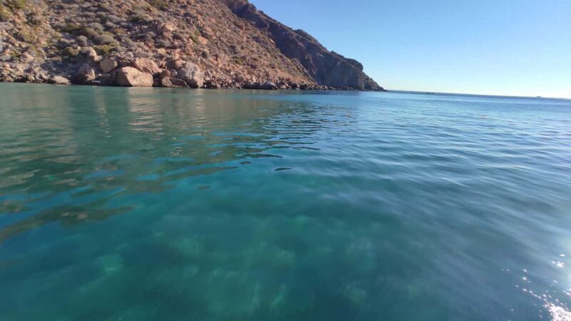 Cartagena: Guided boat tour to Isla de las Palomas - Limitations and Considerations