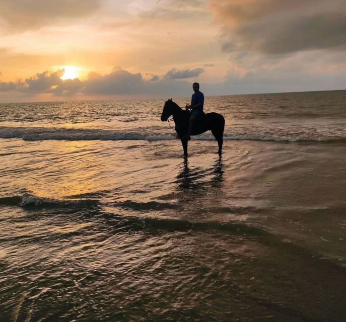 Cartagena: Horseback Ridding Excursion on the Beach - Experience Highlights