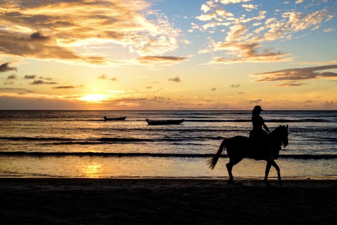Cartagena: Horseback Riding Along The Beach (Dont Overpay) - Good To Know