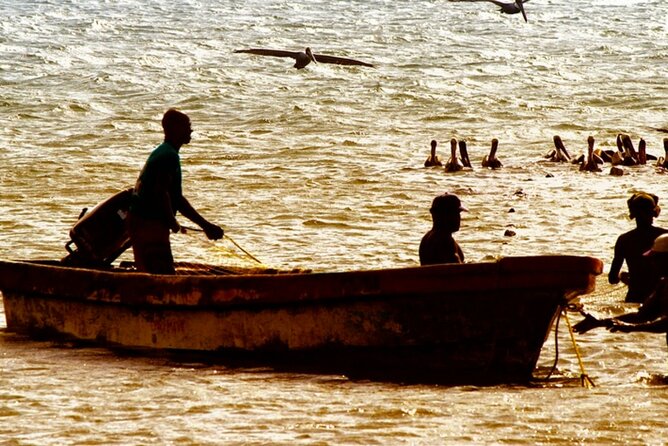 Cartagena: Horseback Riding Along The Beach (Dont Overpay) - Activity Details