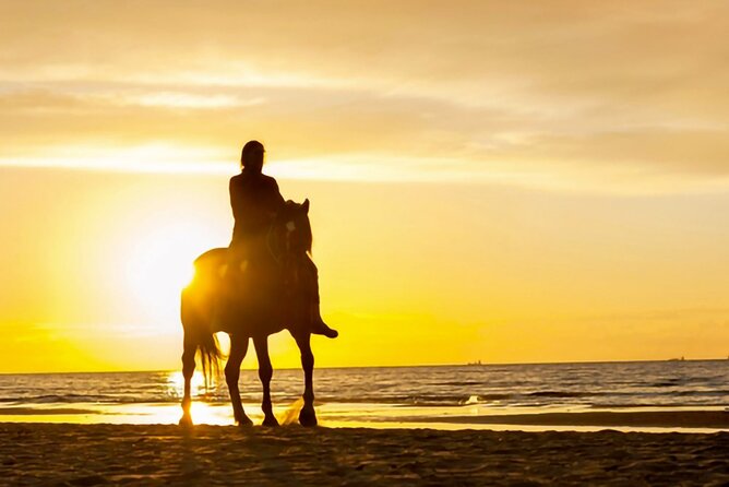 Cartagena: Horseback Riding Along The Beach (Dont Overpay) - Customer Reviews