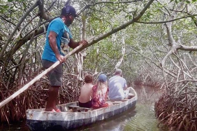 Cartagena Mangrove Tour - Inclusions