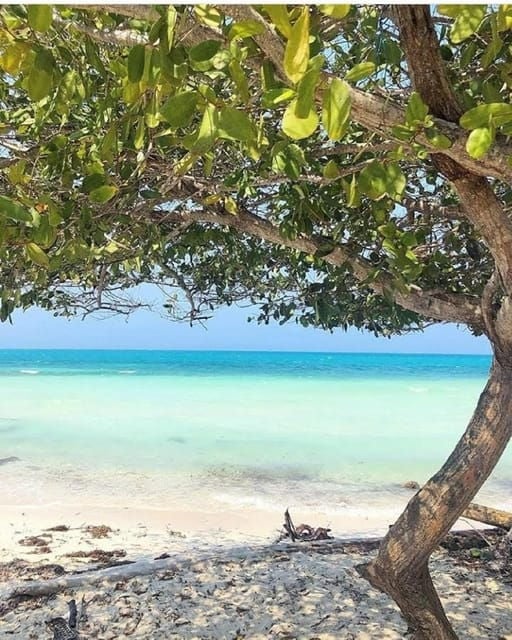 Cartagena: Mucura and Santa Cruz Islands Tour Spectacular - Meal Inclusions