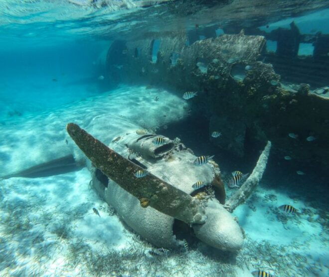 Cartagena: Multi Stop Island Tour With Optional Visits - Reviews and Recommendations