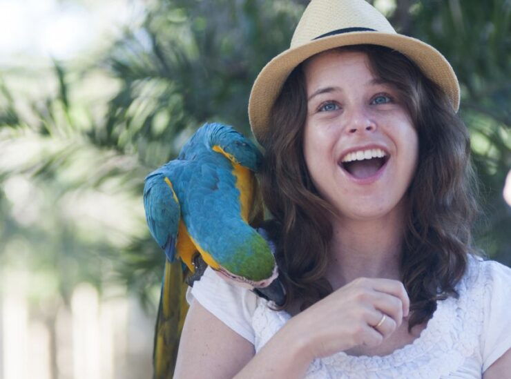 Cartagena: National Aviary of Colombia Entrance Tickets - Good To Know