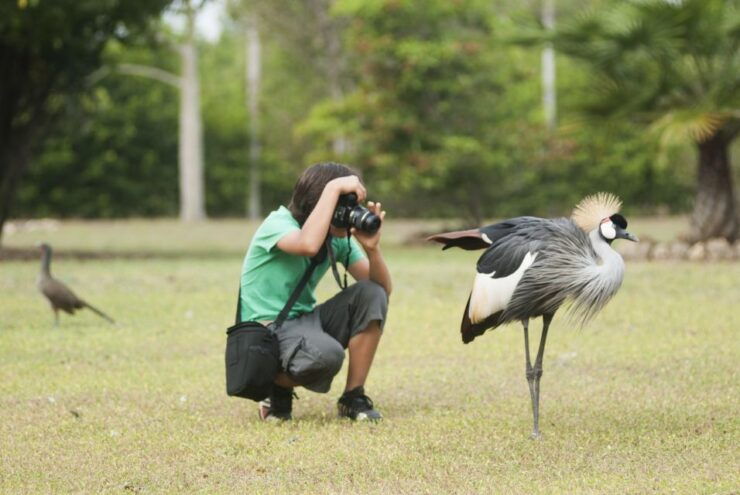 Cartagena: National Aviary of Colombia Entrance Tickets - Ticket Details