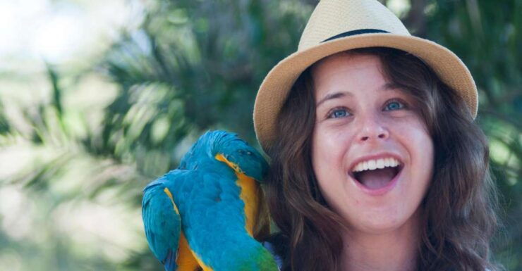 Cartagena: National Aviary of Colombia Entrance Tickets - Experience Highlights