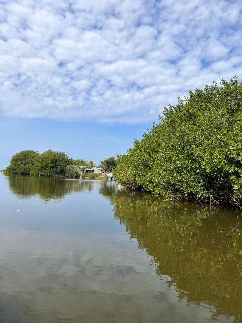 Cartagena Native Fishing Through The Mangroves - Ecological Immersion in Vibrant Mangroves