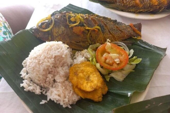 Cartagena: Palenque Tour, Road to Emancipation - Tips for a Memorable Experience