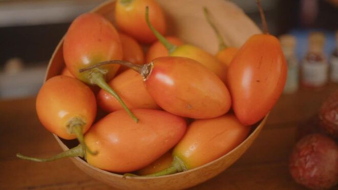 Cartagena: Private Fruit Tasting & Getsemaní Walk - Tour Description